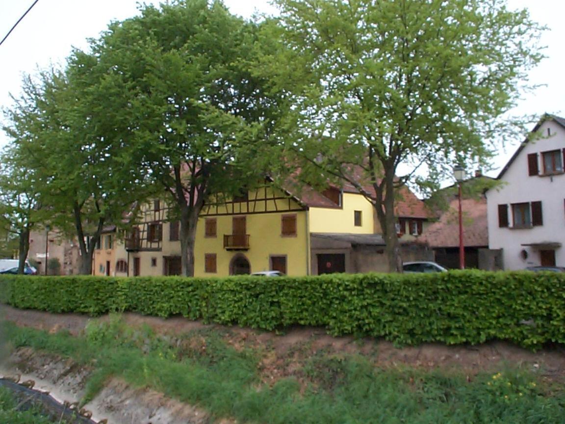 La Maison Jaune 阿莫施威尔 外观 照片